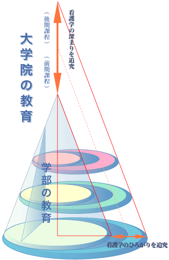 大学院の教育