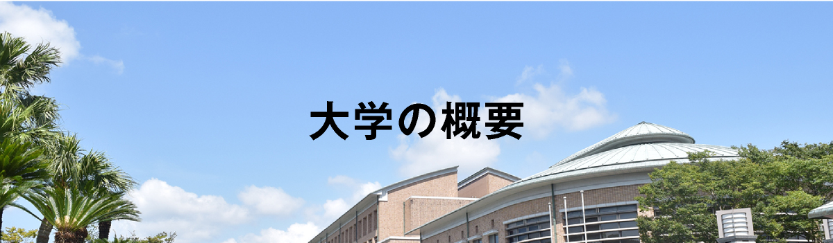 大学の概要