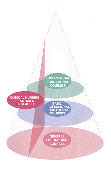 Curriculum model