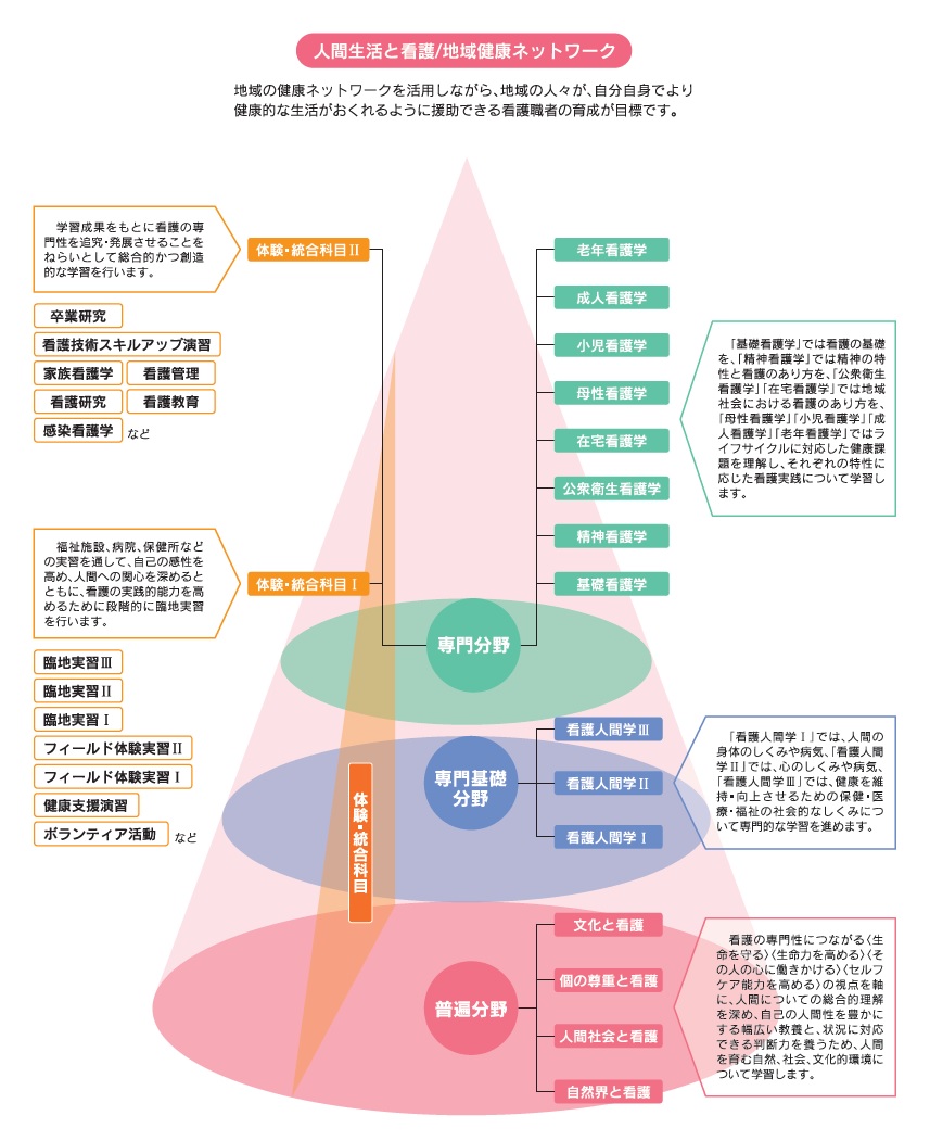 看護学部カリキュラム