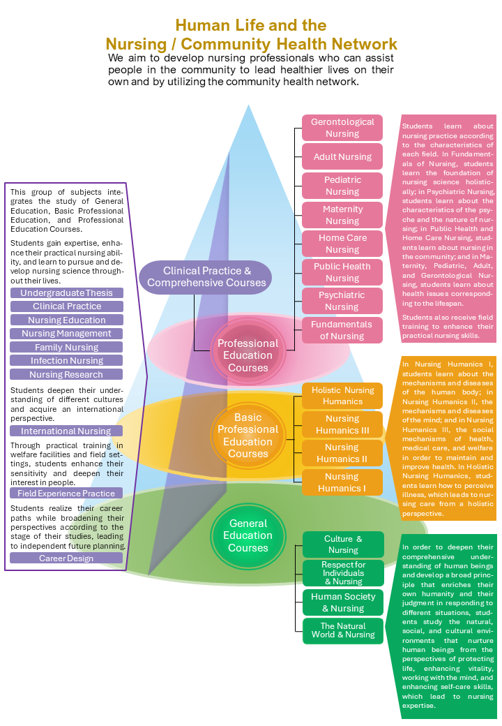 Curriculum model